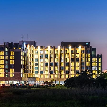 Brown Suites Hotel And Resort Jeju Extérieur photo
